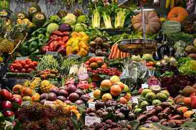Plant Hunters' Fair