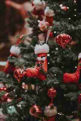 Step Into Christmas (Macclesfield)